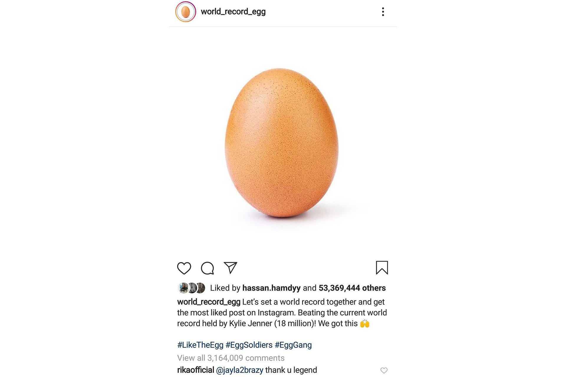 أشهر بيضة في العالم